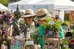 Adult Ticket to BBC Gardeners’ World Spring Fair on May 02 and 03, 2026 (Up to 31% Off) - Image 6