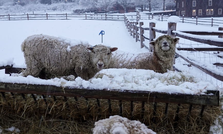 Image 5: Experience Billings Farm And Museum