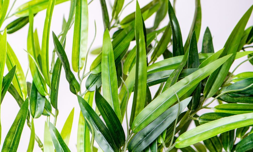 Image 5: Artificial Plants and Trees - Bamboo, Ficus, Olive and Palm