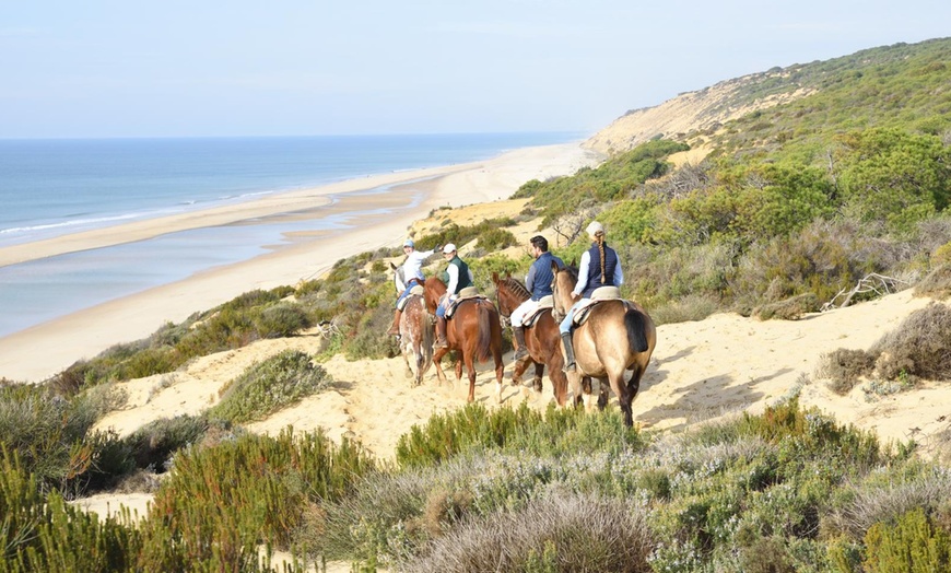 Image 8: Ruta relax a caballo por las Dunas de Doñana para 1 o 2 personas