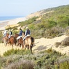 Image 8: Ruta relax a caballo por las Dunas de Doñana para 1 o 2 personas