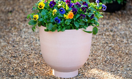 Groupon Unisex Terracotta Romano Effect Planters: Two
