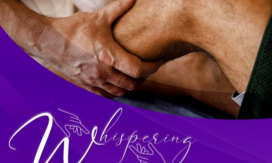 Image 2: One, Two, or Three 60-Minute Deep Tissue or Swedish Massages