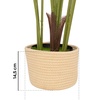 Image 5: Plantas artificiales decorativas en diferentes diseños