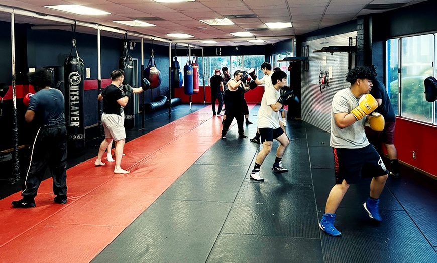 Image 5: Private Boxing Sessions - Enhance Fitness & Self-Defense