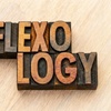 Image 2: Reiki Reflexology Ritual 60 Minute Relaxation Wellness Session