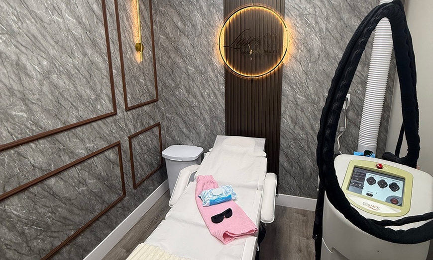 Image 3: Six Laser Hair Removal Sessions on Different Area Sizes