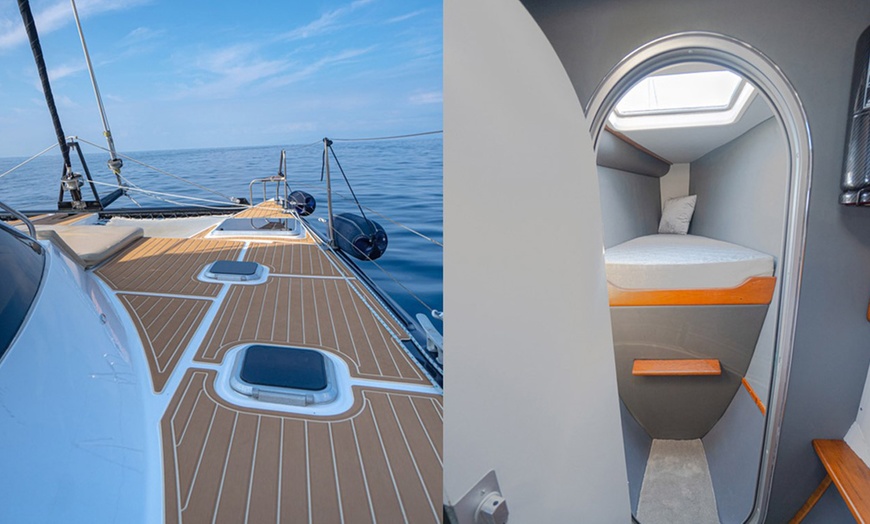 Image 5: Avistamiento de ballenas y delfines en catamarán para adultos y niños