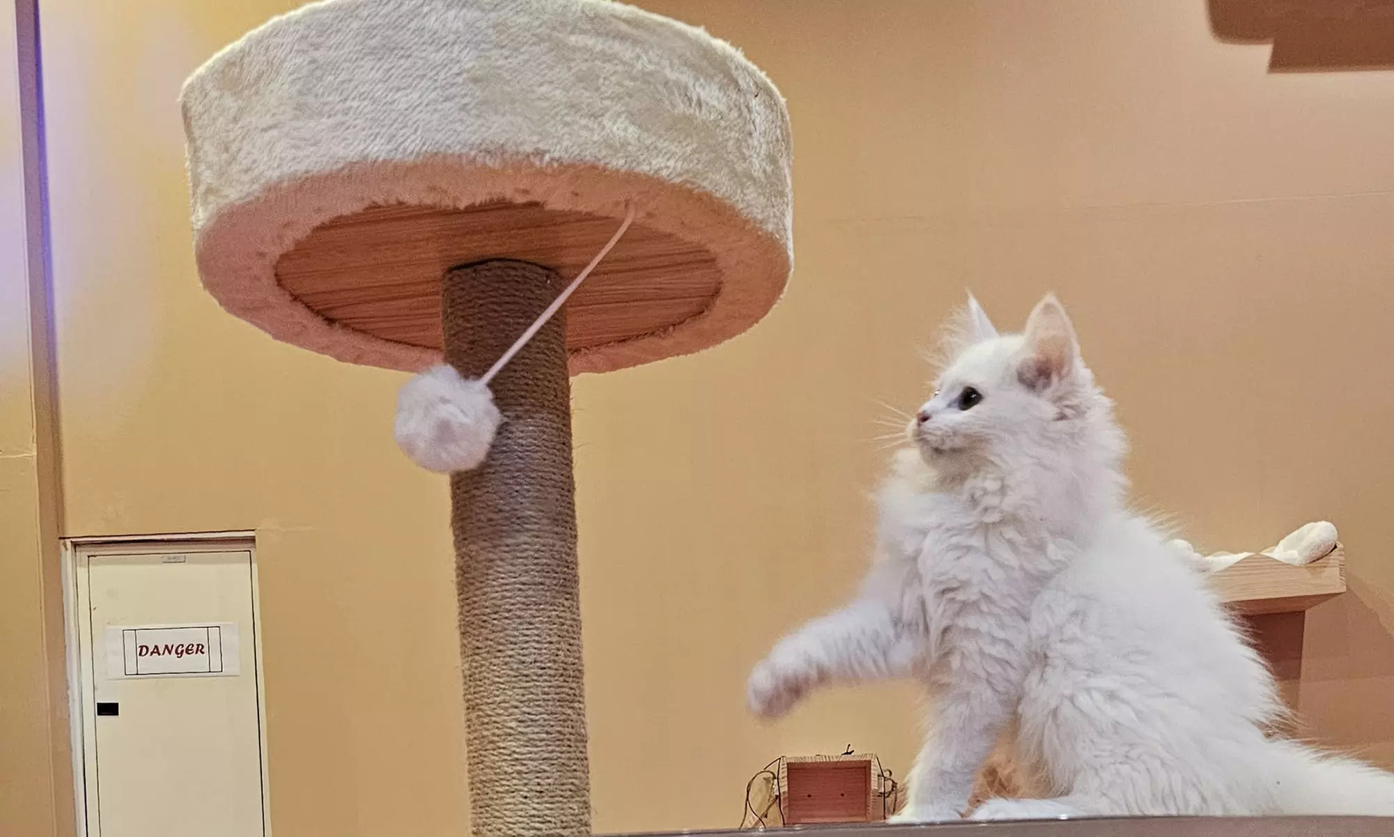 General Entry Ticket for Two Hours or Full Day