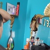 Image 1: Buzz or Scissor & Clipper Cut for Adults – Clean, Easy Style
