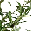Image 6: Pianta artificiale decorativa di ulivo