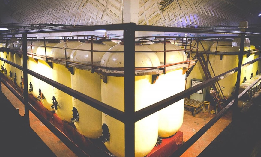 Image 12: Visita a bodega con cata de 3 vinos y aperitivos para hasta 6 personas