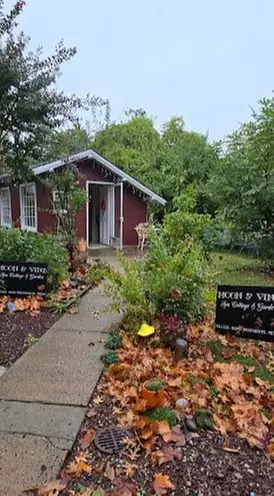 Foot Reflexology with Hot Stone & Aromatherapy Foot Scrub and More