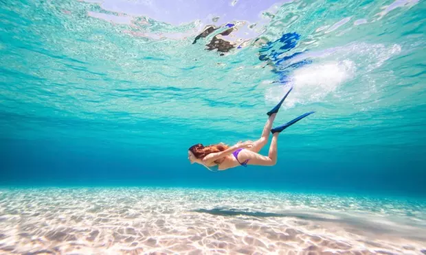 Experiencia clásica o prémium de bautismo de buceo para 1 o 2 personas