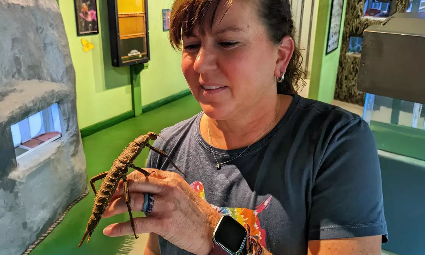 Butterfly & Bug Zoo Admission – Traverse City