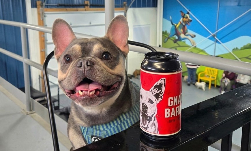 Image 3: Indoor Dog Park Day Pass with Drinks for You
