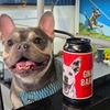 Image 3: Indoor Dog Park Day Pass with Drinks for You