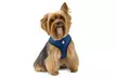 FurHaven Pet Easy Comfort Mesh Dog Harness - Second Medium
