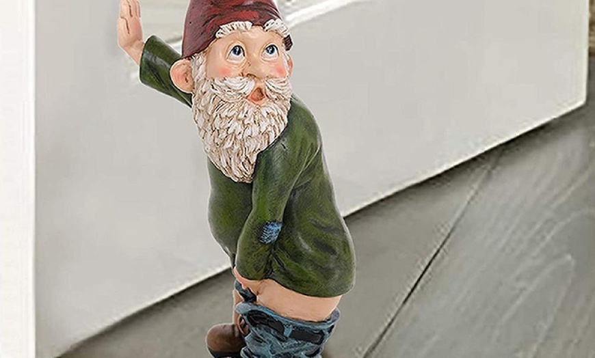 Image 8: Funny Gnome