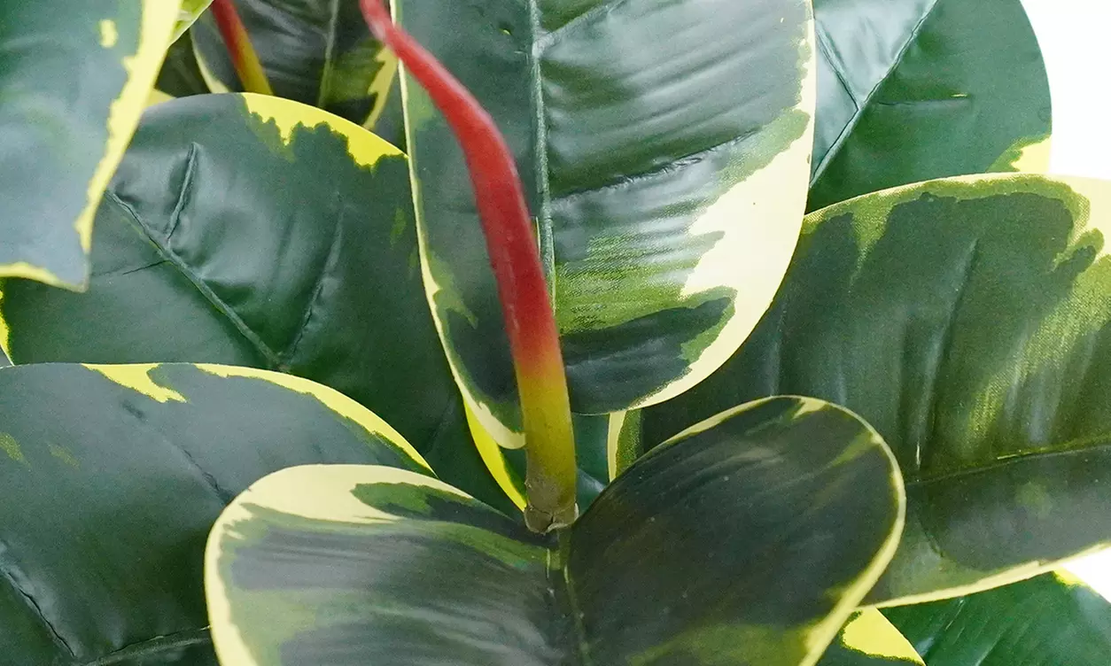 Collezione di piante finte da interno