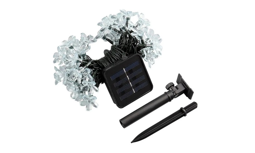 Image 15: 50 LED Multi-Coloured Solar Cherry Blossom Lights Options