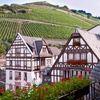 Image 1: Rheingau: 2 Nächte inkl. Verpflegung, Sauna und Wanderrucksack