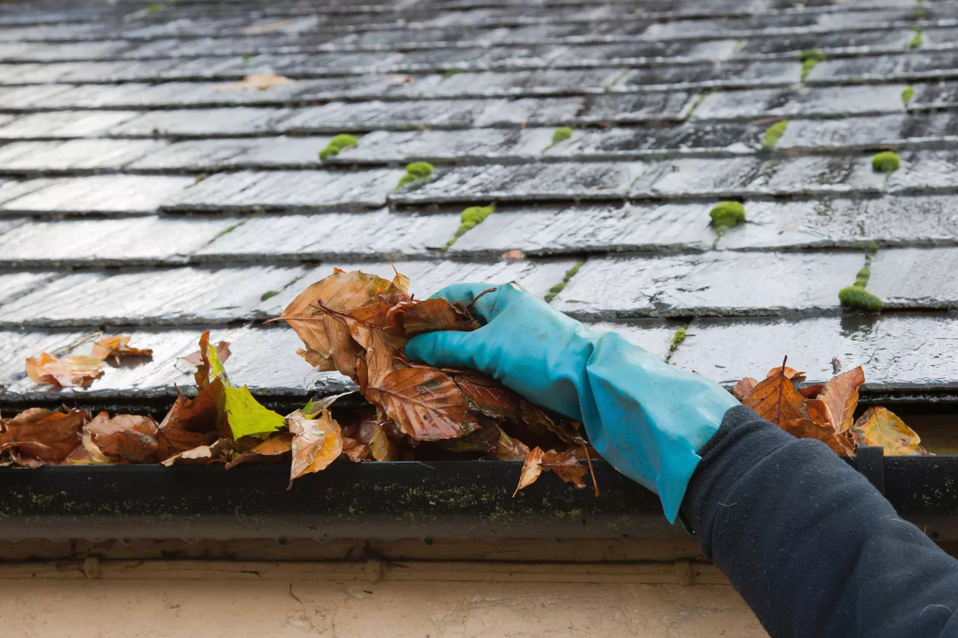 $50 for $100 Worth of Services — D&D Guttering - Primary Image