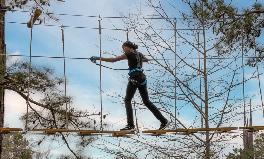 Image 9: Stone Mountain Park Tickets & Zipline Course