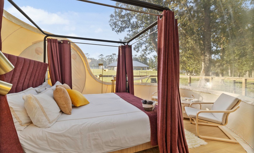 Image 2: Luxury Glamping Domes w/ Pool & Hot Tub, Just Outside Houston