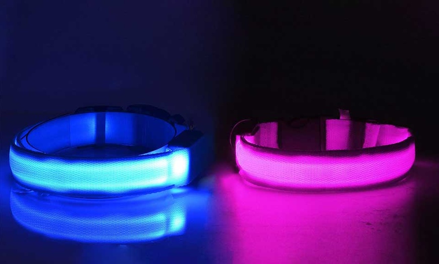 Image 4: Led-halsband voor honden