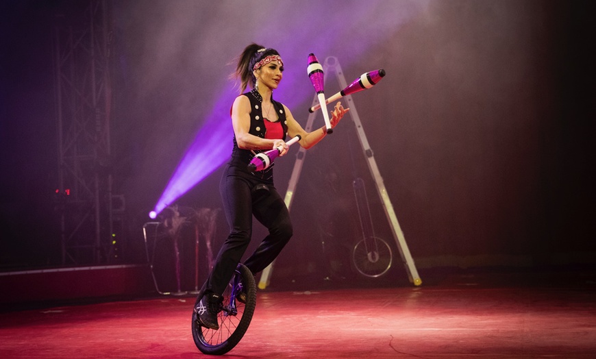 Image 4: Marinelli Bros Circus at Marinelli Bros Circus - Stonewood Center