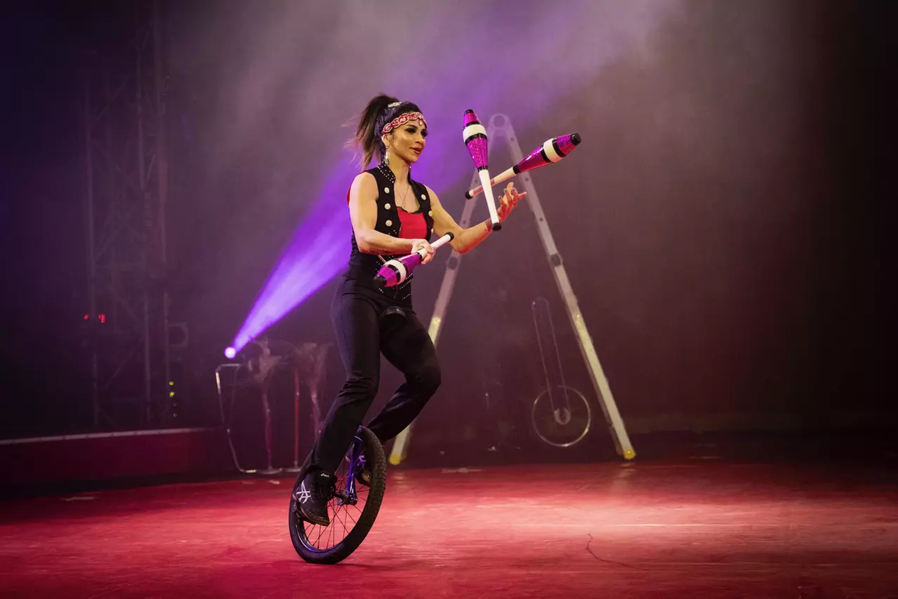 Marinelli Bros Circus - Up to 43% Off