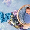 Image 3: Newborn Photography: Get a Standard, Deluxe or Solo Collection
