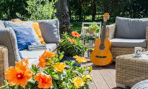 What to expect media