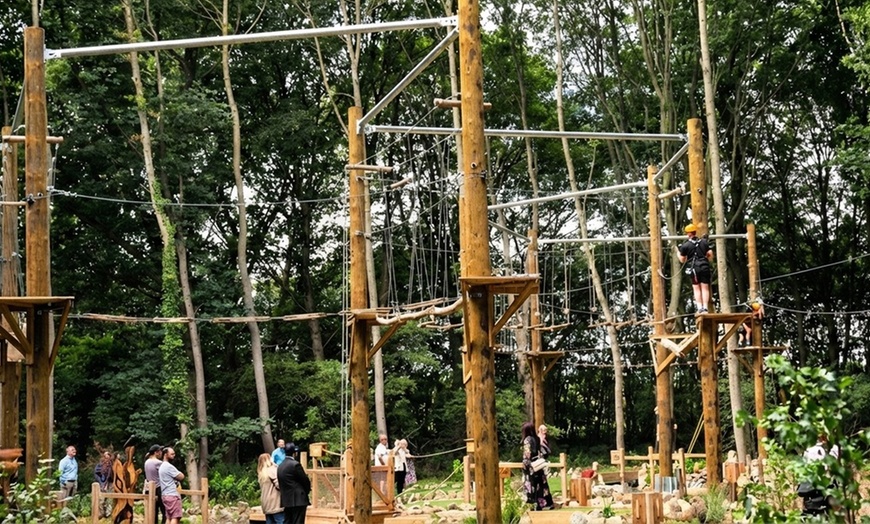 Image 2: Aerial Assault Course and Zip line for One, Two, or Four People 