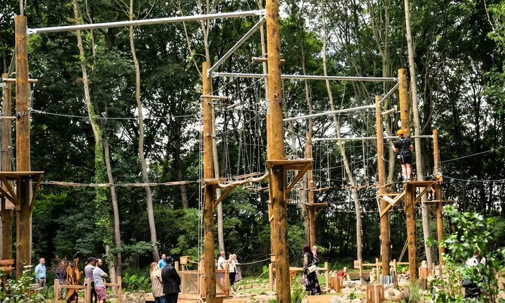 Aerial Assault Course and Zip line for One, Two, or Four People