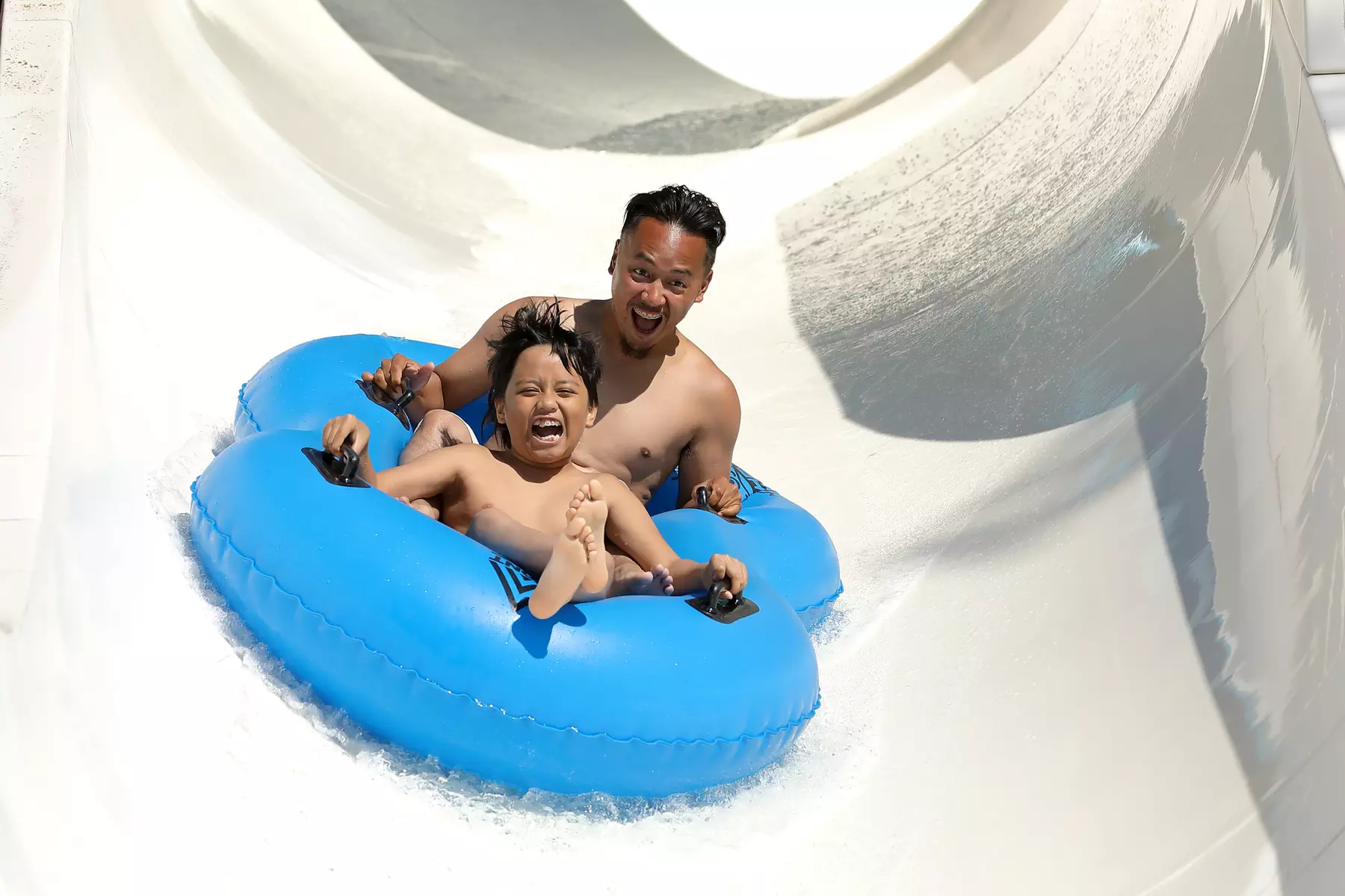 Top Things To Do In Berkeley, CA - Groupon