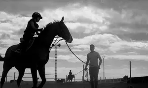 4, 8, 12 o 24 clases de equitación para 1 persona desde 34,95 € en Escuela Ecuestre Gran Canaria