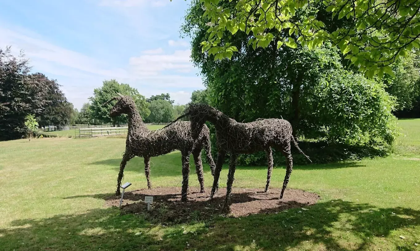 Enjoy Family fun with Entry Tickets for Adults and Childrens