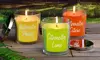 Citronella Scented Candle Collection - Set of 3