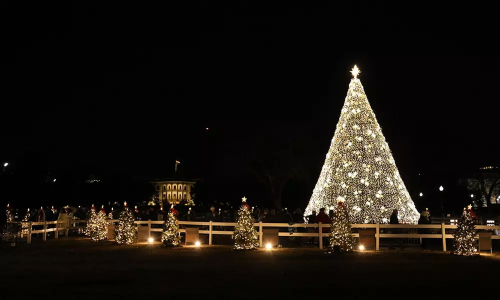 Explore Washington DC Holiday Lights with Guided Tour for 1, 2, 4 or 6
