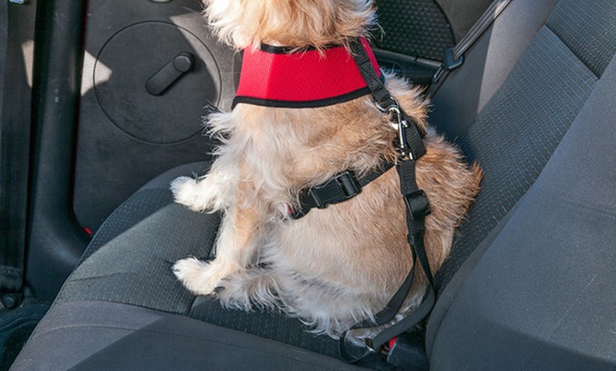 Image 2: Cintura di sicurezza da auto per cani