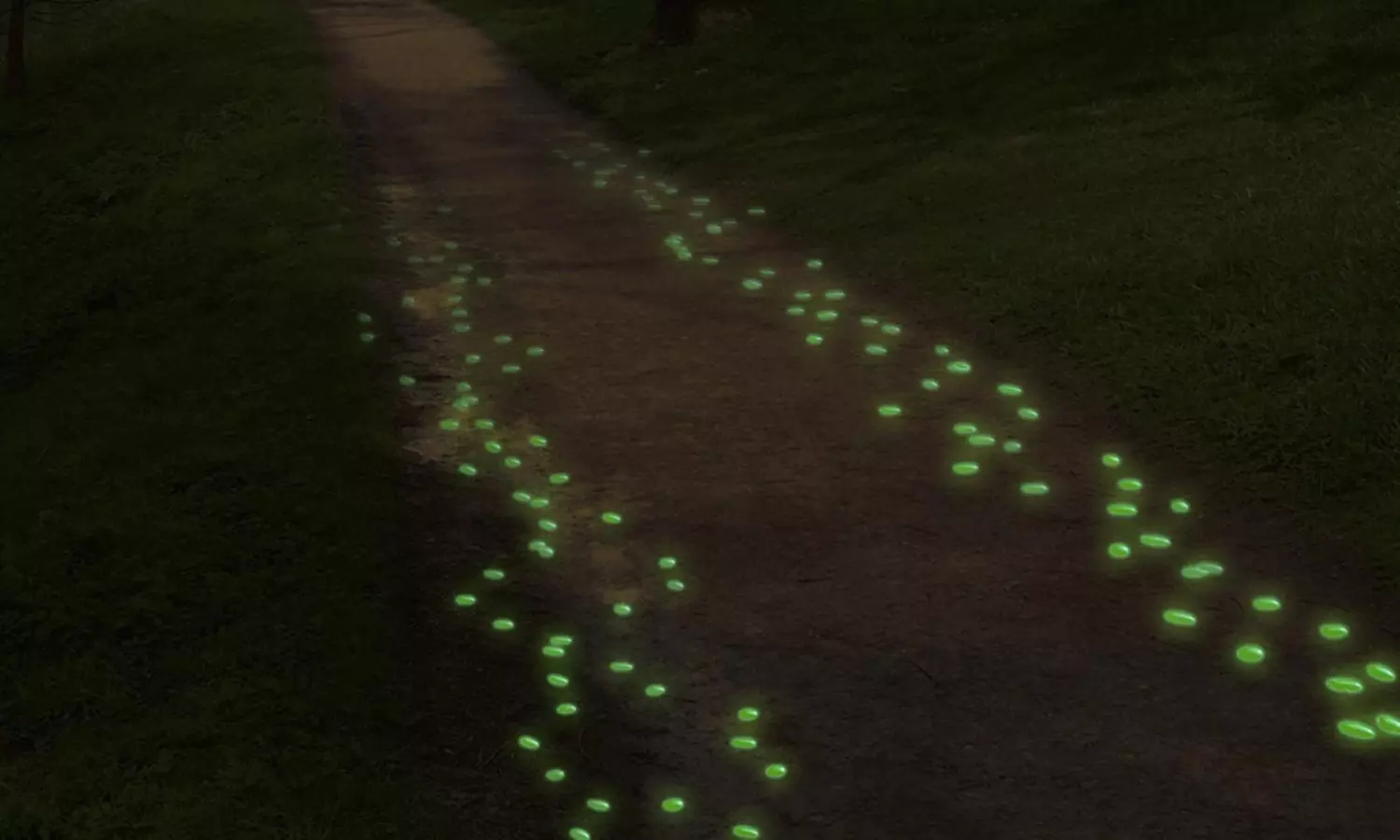 Pure Garden Glow in the Dark Solar Garden Pathway Stones - Primary Image