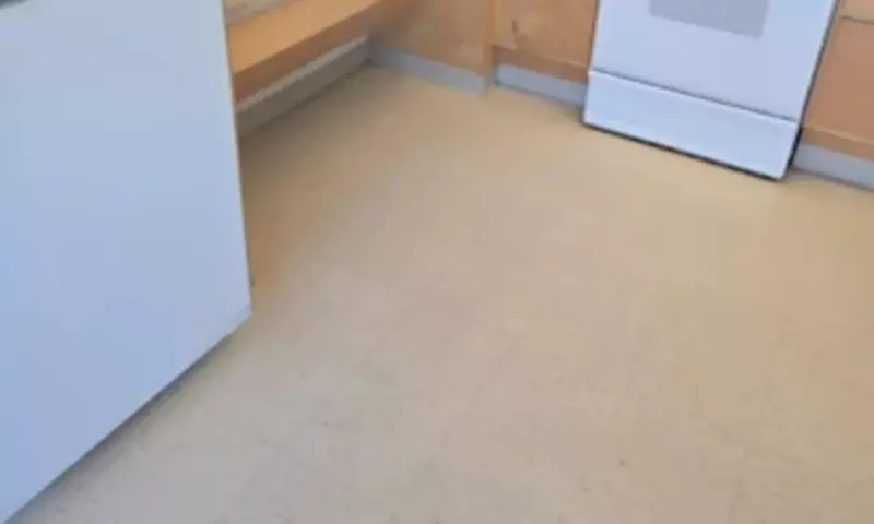 One or Two Sessions of 2 or 4 Hour Standard Cleaning	 