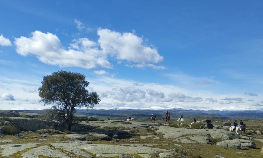 Image 4: Paseo a caballo durante 1 o 2 horas para 2 o 4 personas cerca de Ávila