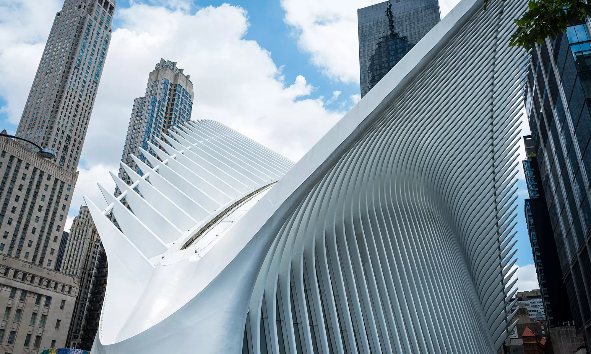 9/11 Memorial Tour & Museum/Observatory Access – New York City