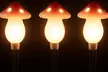Set of Three or Six Warm White Solar Mushroom Outdoor Garden Lights - Image 5