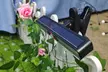36 LED Solar Motion Sensor Floodlight - Second Medium