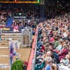 Image 7: The London International Horse Show at ExCeL - 19th-22nd December 2025