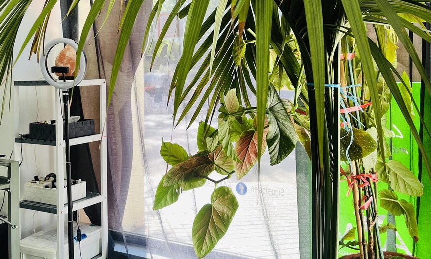 Image 5: Tratmiento facial con peeling